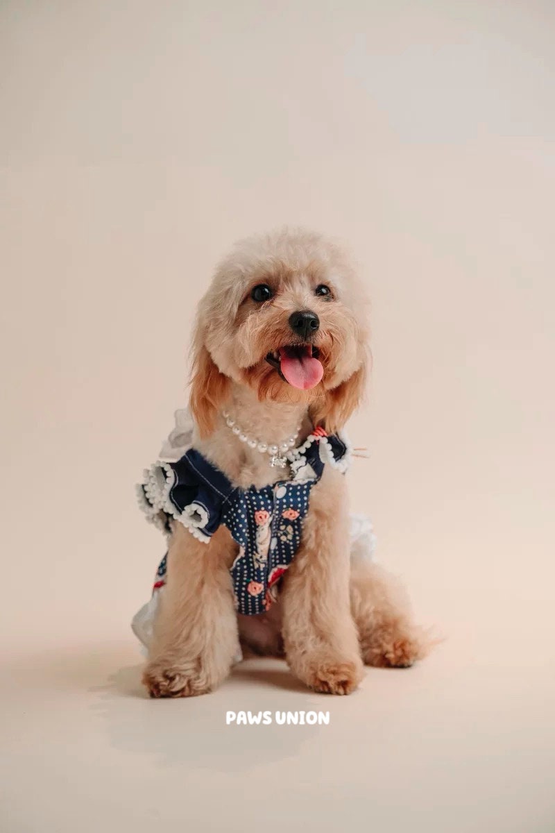Coco Rosette Navy Gingham Dog Dress, Vintage Cottage Style Pet Dress with Lace Bib, Elegant Summer Birthday Outfit for Dogs, Custom Size — product photograph 4 of 8.
