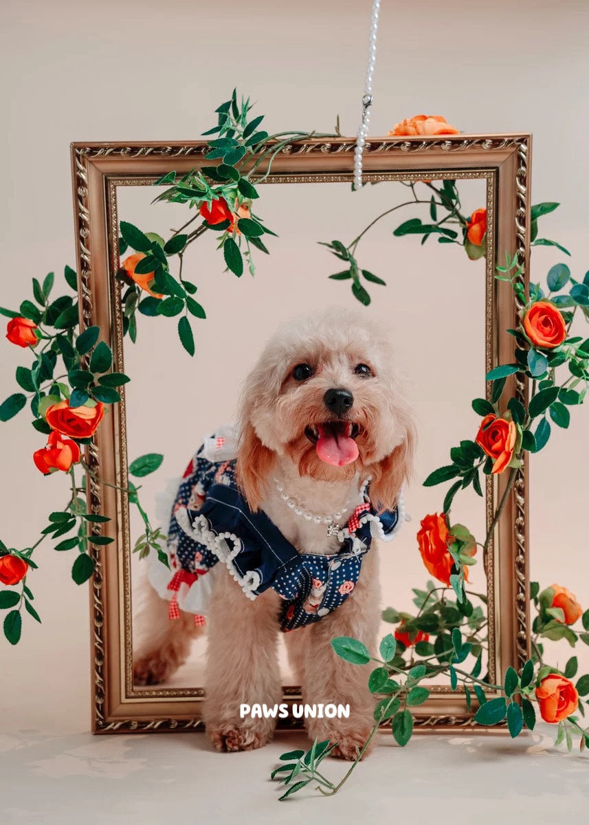 Coco Rosette Navy Gingham Dog Dress, Vintage Cottage Style Pet Dress with Lace Bib, Elegant Summer Birthday Outfit for Dogs, Custom Size — product photograph 5 of 8.