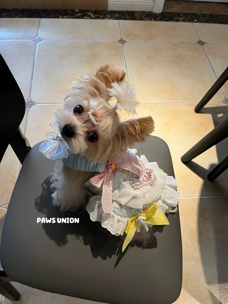 Coco Rosette Pastel Blue Dog Summer Dress, Cute Bow Pet Dress for Birthdays and Parties, Kawaii Outfit for Small and Large Dogs, Custom Size — product photograph 2 of 6.