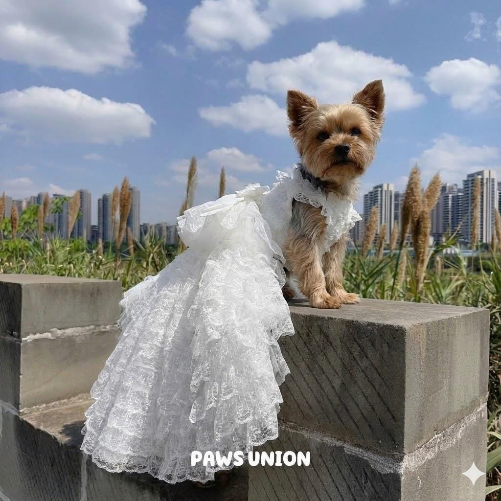 Coco Rosette Dog Wedding Dress with Train, White Tulle Dog Gown, 3D Flower Princess Dress for Dogs, Pet Bride Outfit, Dog Flower Girl Dress — product photograph 1 of 7.