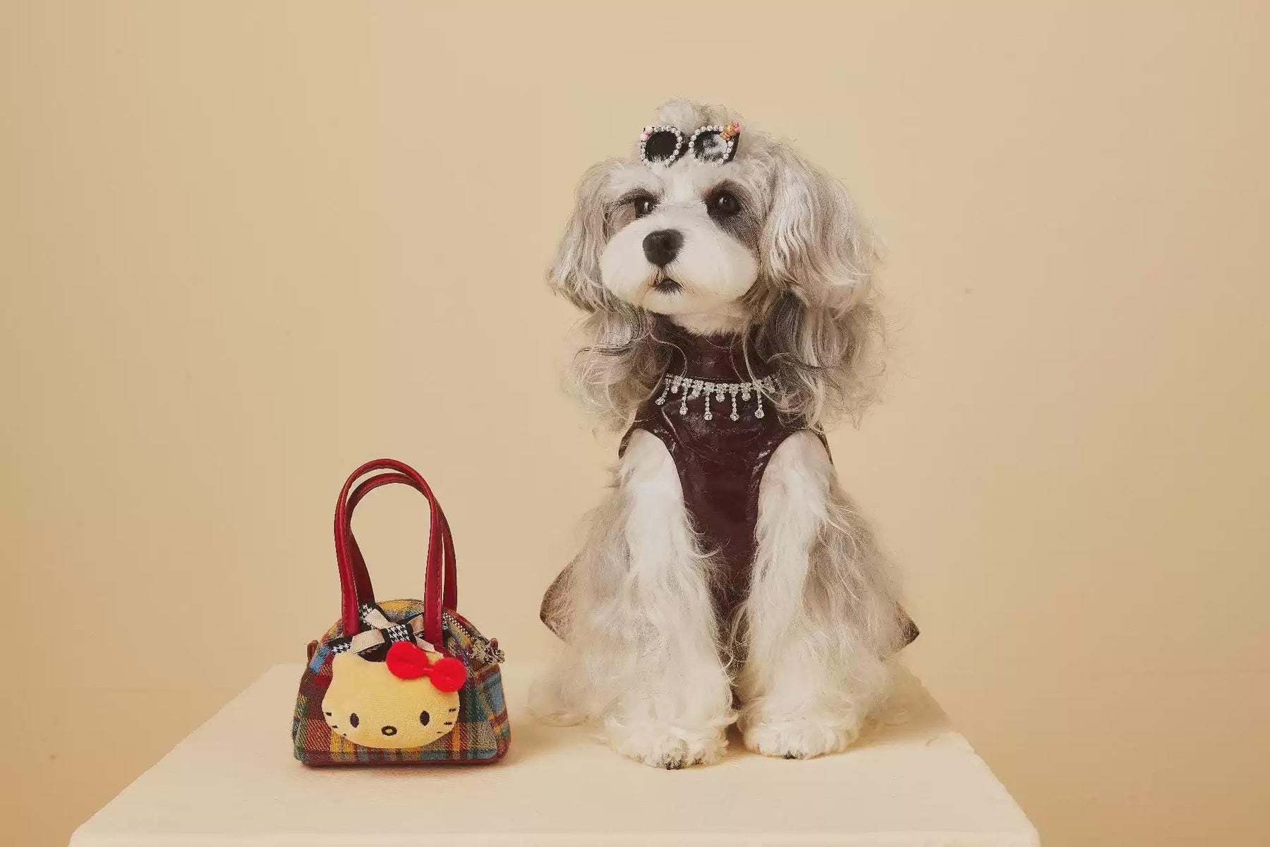 Coco Rosette Burgundy Dog Party Dress, Faux Leather Pet Gown with Rhinestone Fringe, Glam Evening Outfit for Small Dogs, Luxury Dog Dress — product photograph 7 of 12.