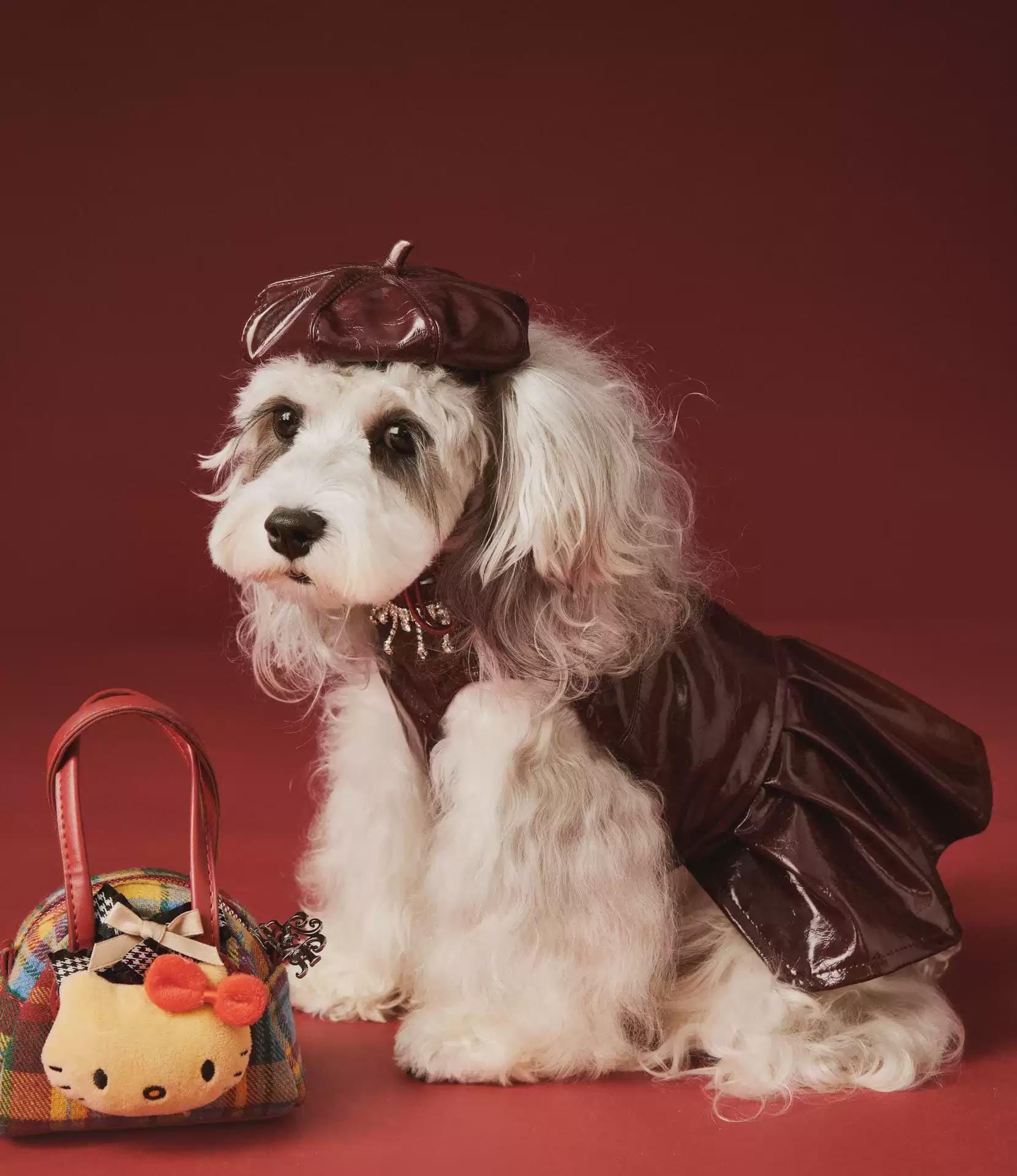 Coco Rosette Burgundy Dog Party Dress, Faux Leather Pet Gown with Rhinestone Fringe, Glam Evening Outfit for Small Dogs, Luxury Dog Dress — product photograph 10 of 12.
