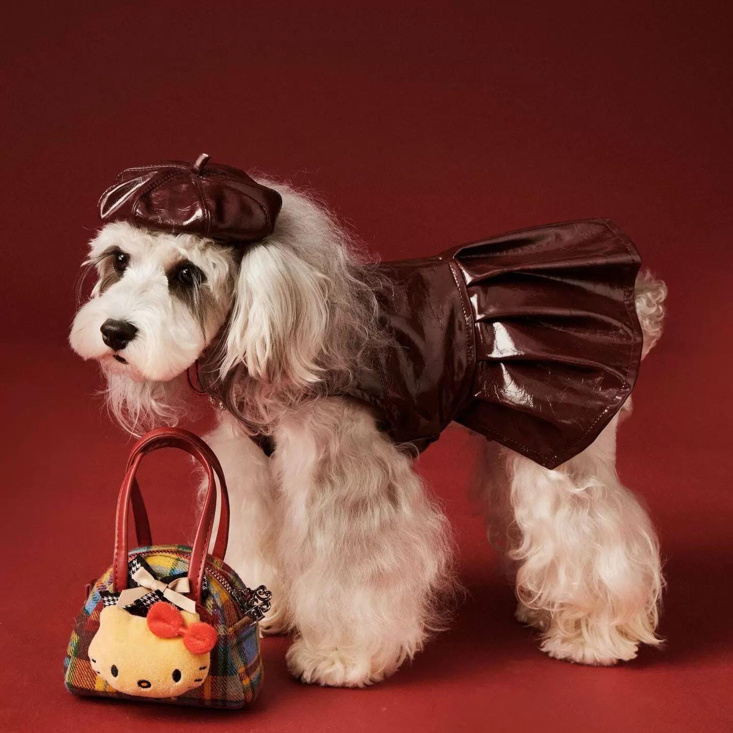 Coco Rosette Burgundy Dog Party Dress, Faux Leather Pet Gown with Rhinestone Fringe, Glam Evening Outfit for Small Dogs, Luxury Dog Dress — product photograph 11 of 12.