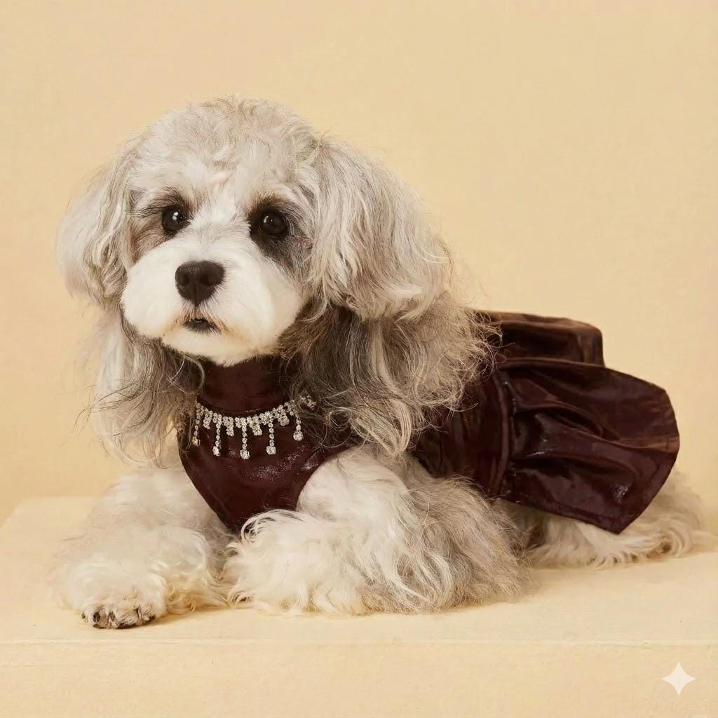 Coco Rosette Burgundy Dog Party Dress, Faux Leather Pet Gown with Rhinestone Fringe, Glam Evening Outfit for Small Dogs, Luxury Dog Dress — product photograph 4 of 12.