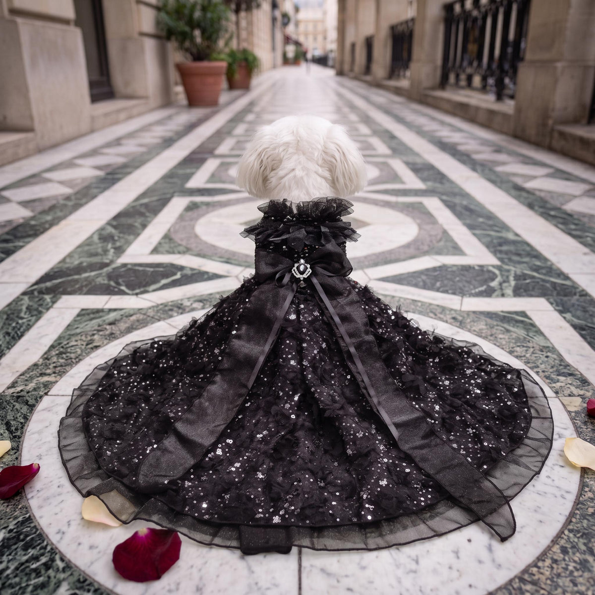 Black Gothic Dog Wedding Dress — product image 4 of 8