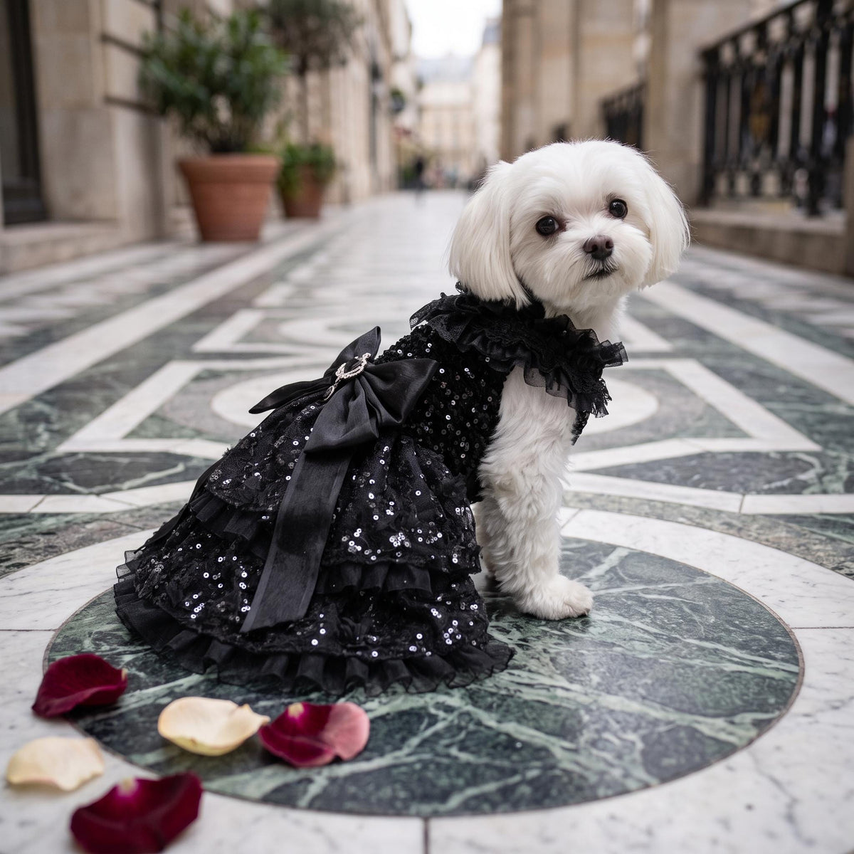 Black Gothic Dog Wedding Dress — product image 2 of 8