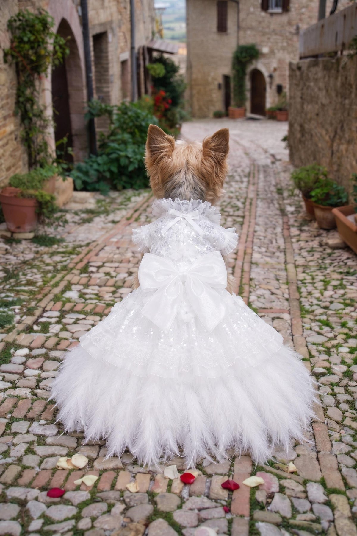 White Feather Dog Wedding Dress — product image 2 of 5