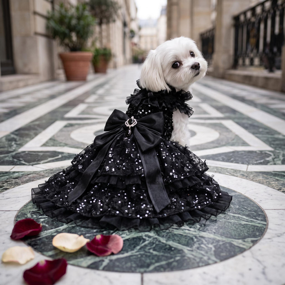 May include: A small white dog wearing a black dress with a ruffled collar, a large satin bow at the back, and a multi-layered skirt covered in shimmering sequins. The dress features a decorative silver-toned charm attached to the centre of the bow.