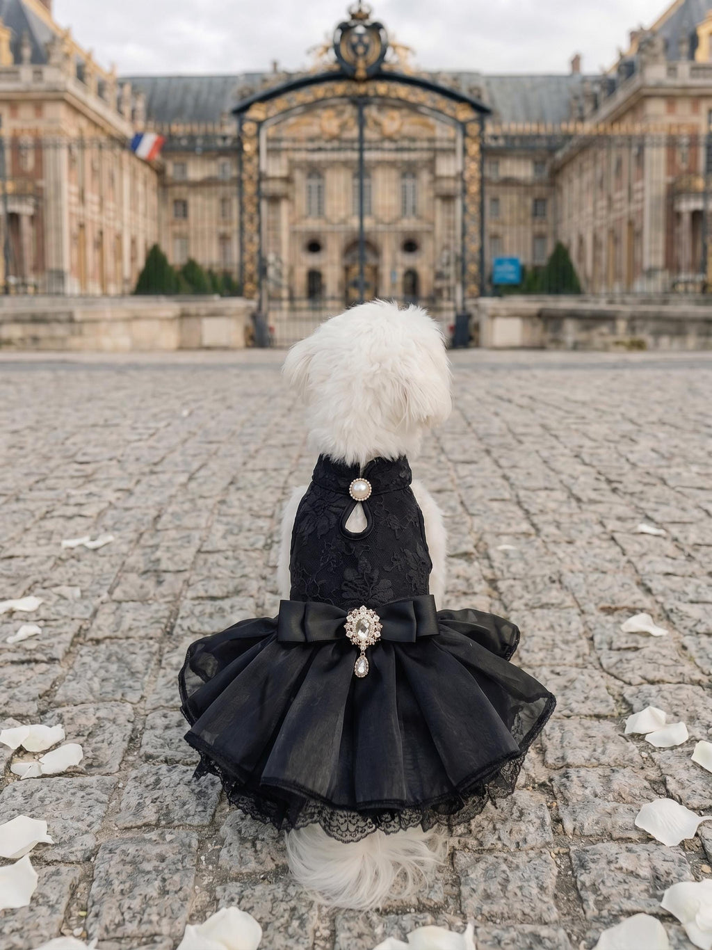 Coco Rosette Black Dog Dress, Elegant Evening Gown for Dogs, Little Black Dress Pet Outfit, Wedding Guest Dog Dress, Birthday Custom Size — product photograph 4 of 5.