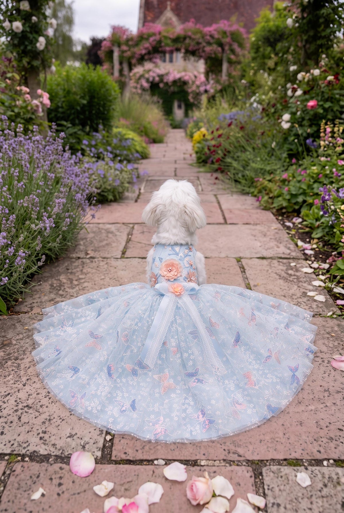 Pale Blue Butterfly Lace Dog Wedding Dress with Train — product image 2 of 4