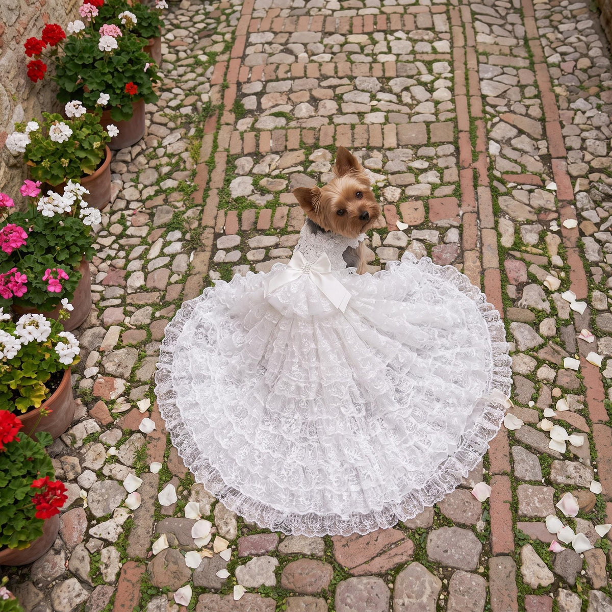 White Tulle Dog Wedding Dress — product image 3 of 9