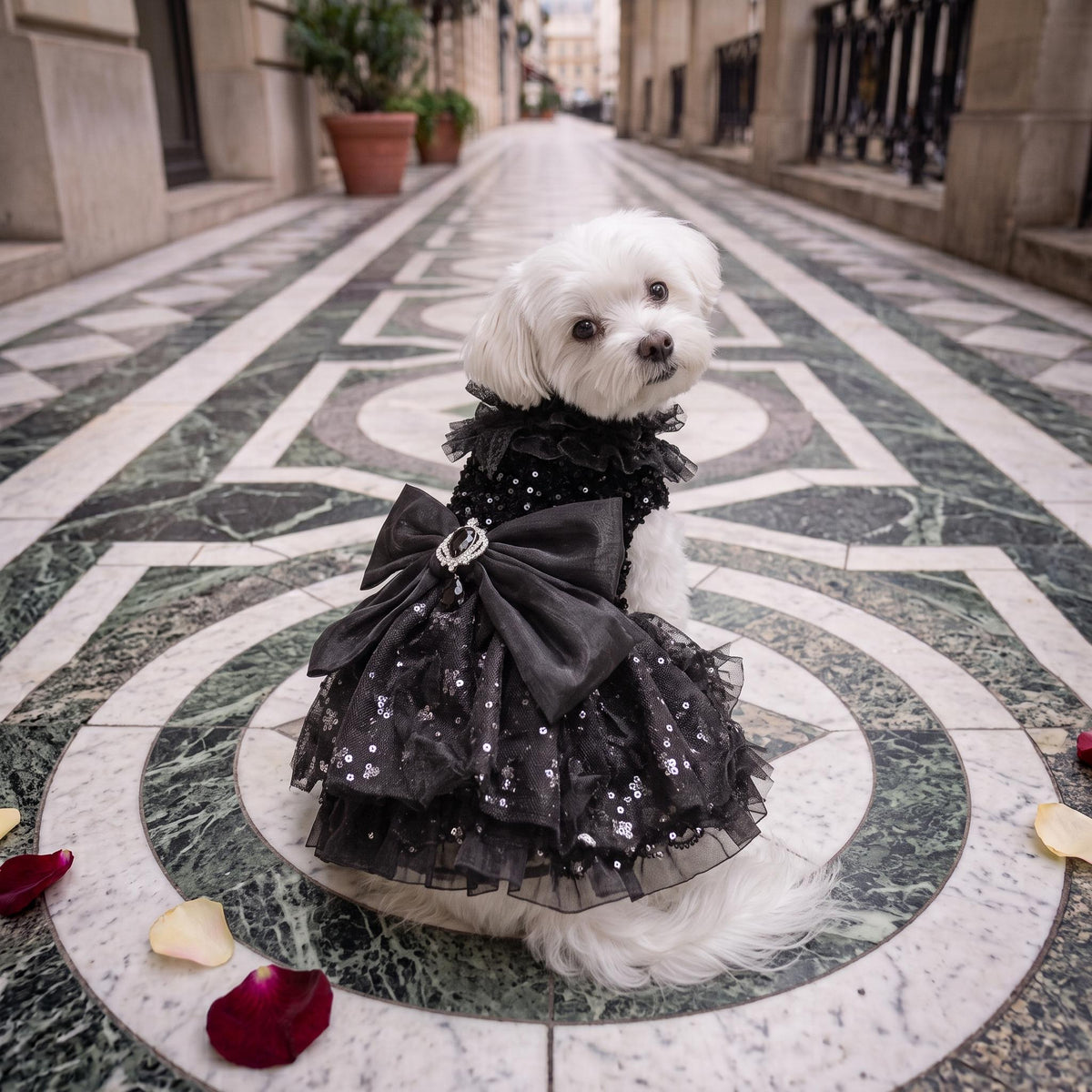 Black Gothic Dog Wedding Dress — product image 5 of 8