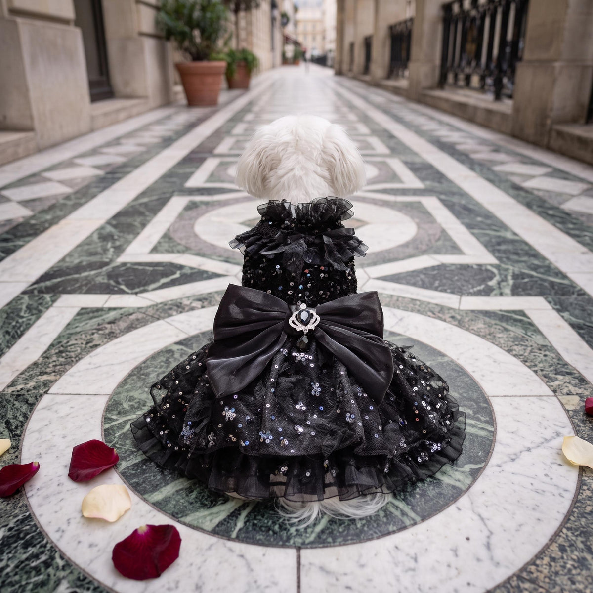 Black Gothic Dog Wedding Dress — product image 6 of 8