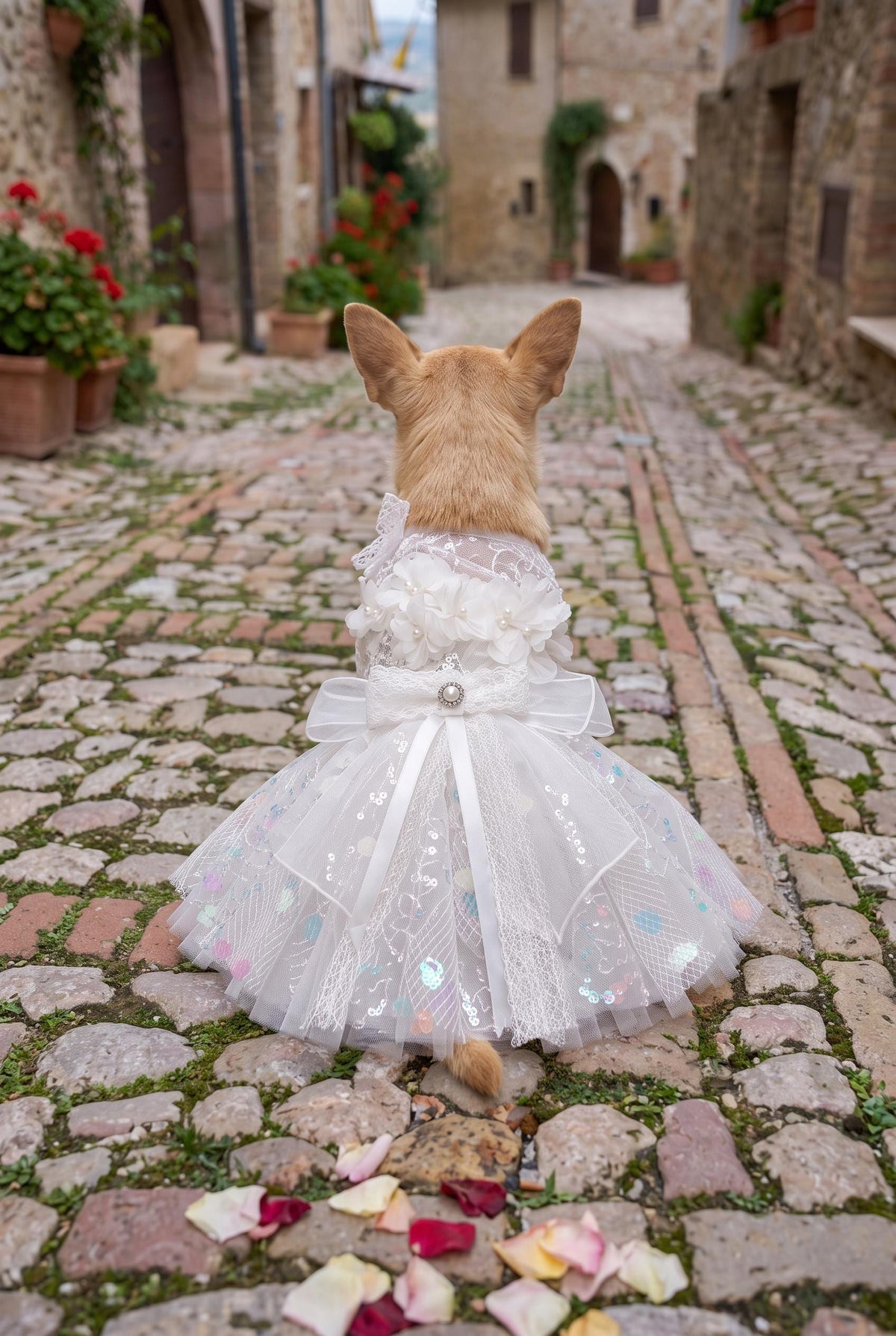 Robe de mariage blanche en dentelle à sequins pour chien avec nœud — photo du produit 2 sur 6