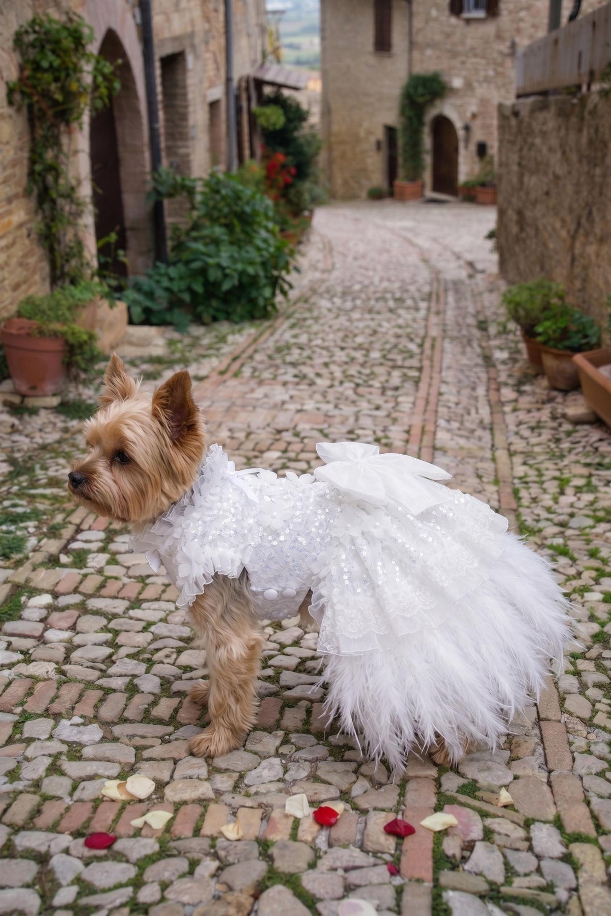 White Feather Dog Wedding Dress — product image 3 of 5