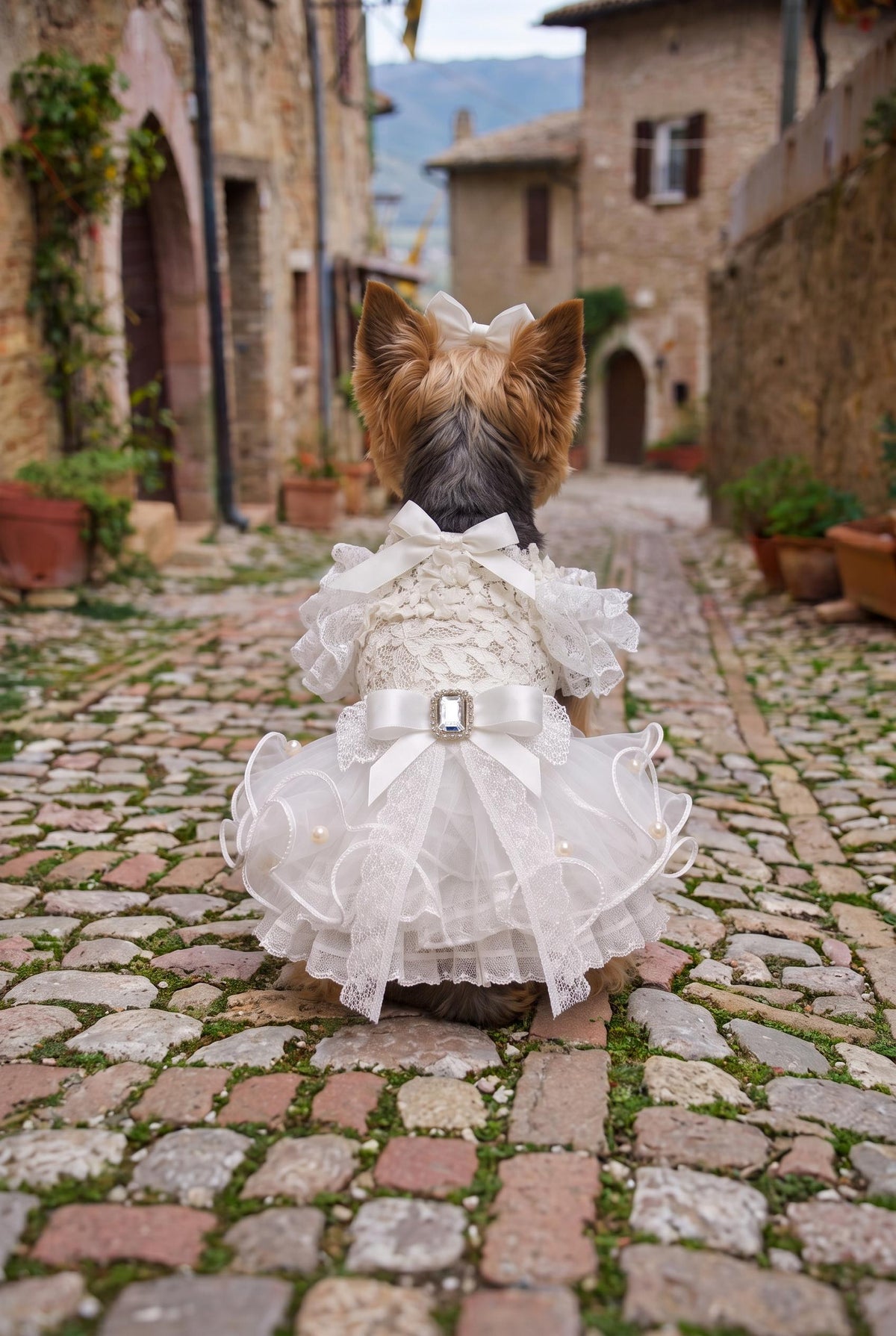 Robe de mariage blanche en dentelle à volants pour chien — photo du produit 3 sur 7