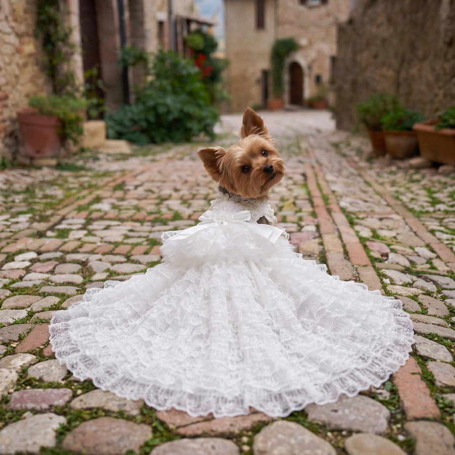 May include: A small Yorkshire Terrier dog wearing a white lace dress with a long, ruffled train. The dress features a layered skirt with intricate lace detailing and a bow at the waist. The dog is positioned on a cobblestone path in an outdoor setting.