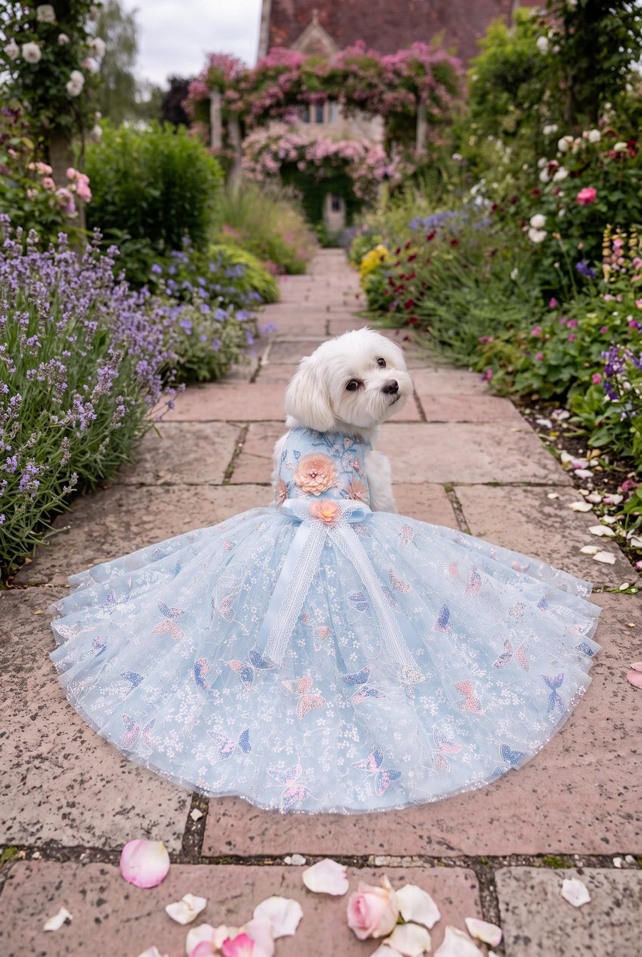 Vestido de boda azul claro de encaje de mariposas para perro con cola — imagen del producto 1 de 4