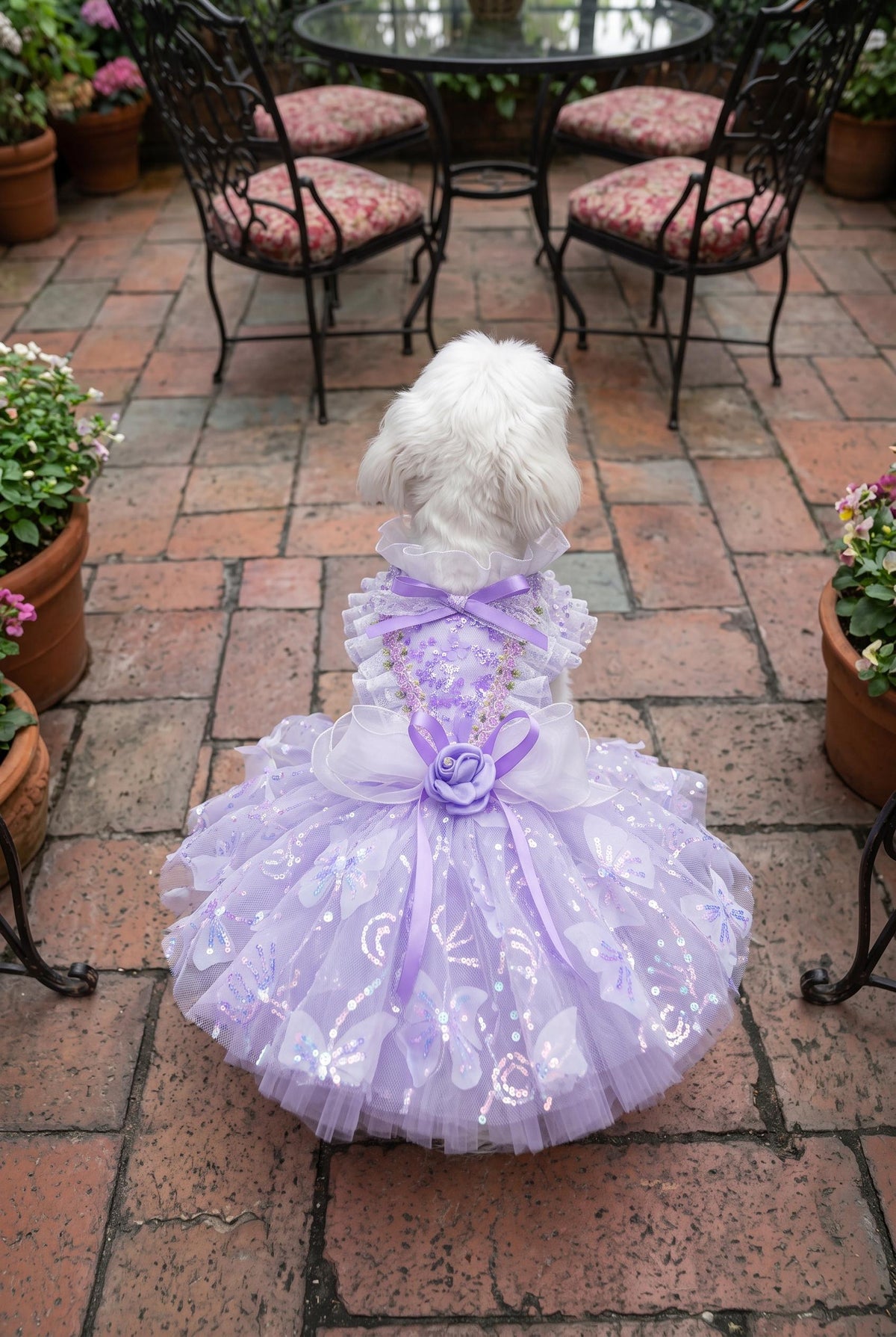 Pastel Butterfly Lace Dog Party Dress — product image 2 of 10