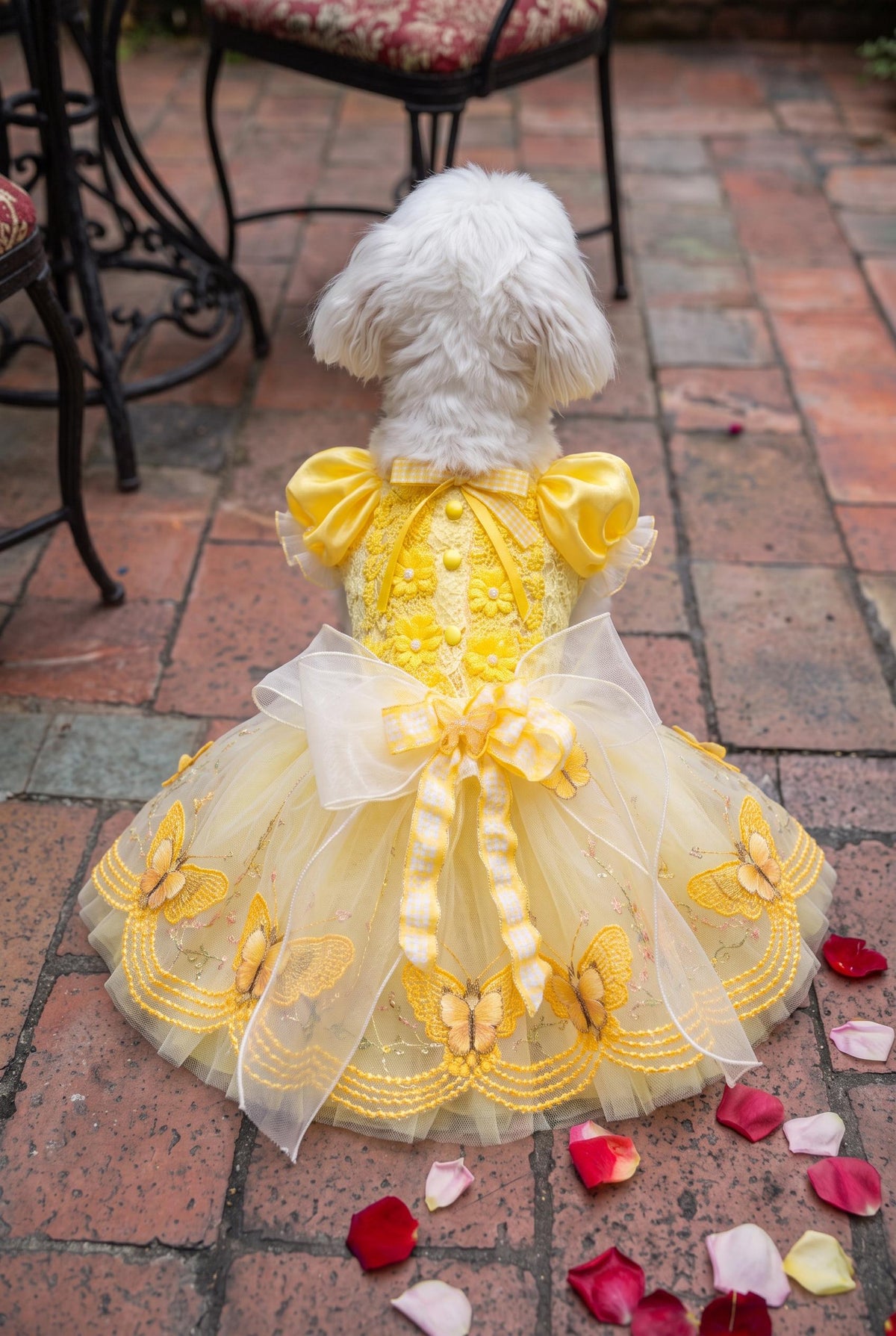 Yellow Butterfly Lace Dog Party Dress — product image 2 of 6
