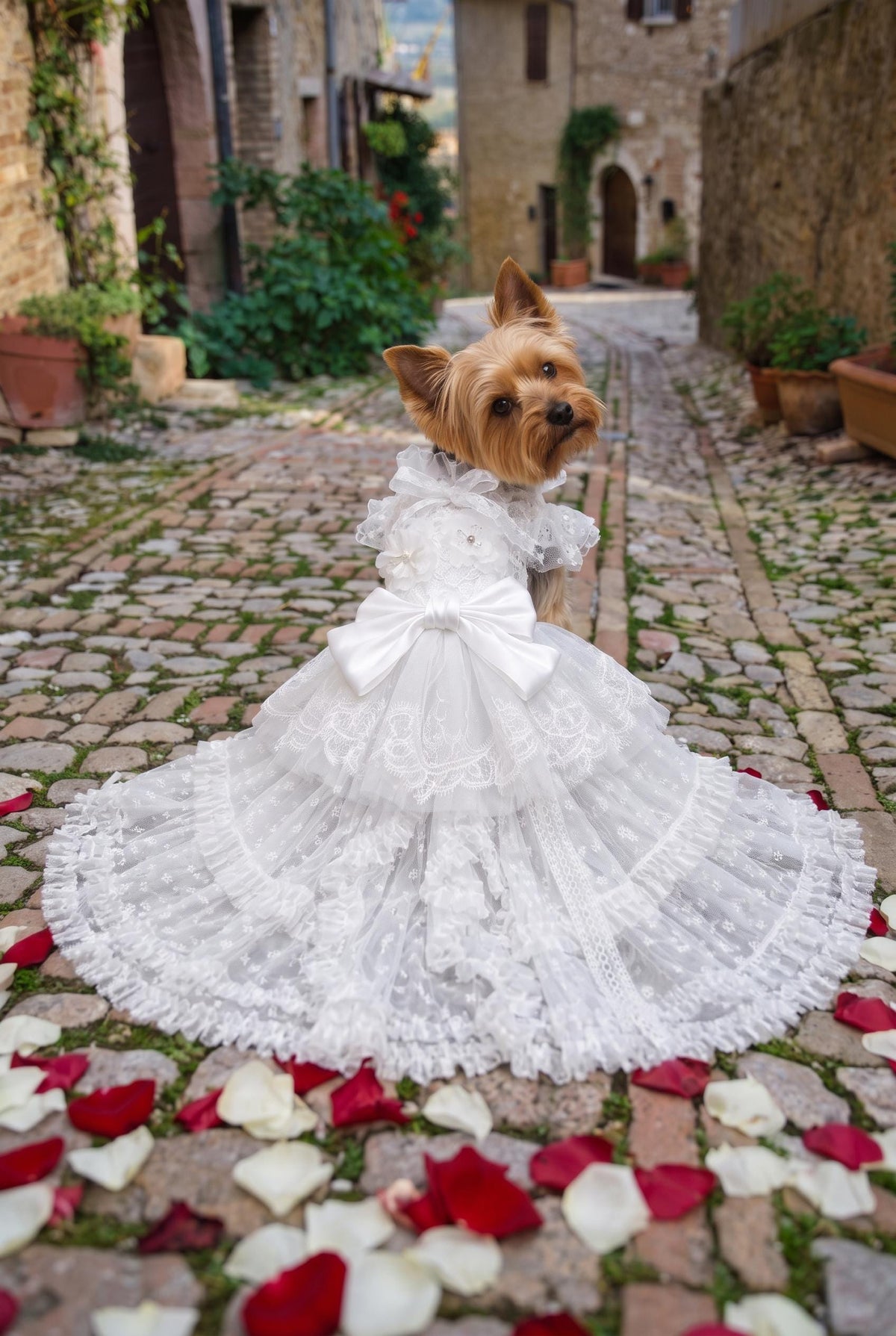 White Lace Dog Wedding Dress with Optional Detachable Train — product image 1 of 7