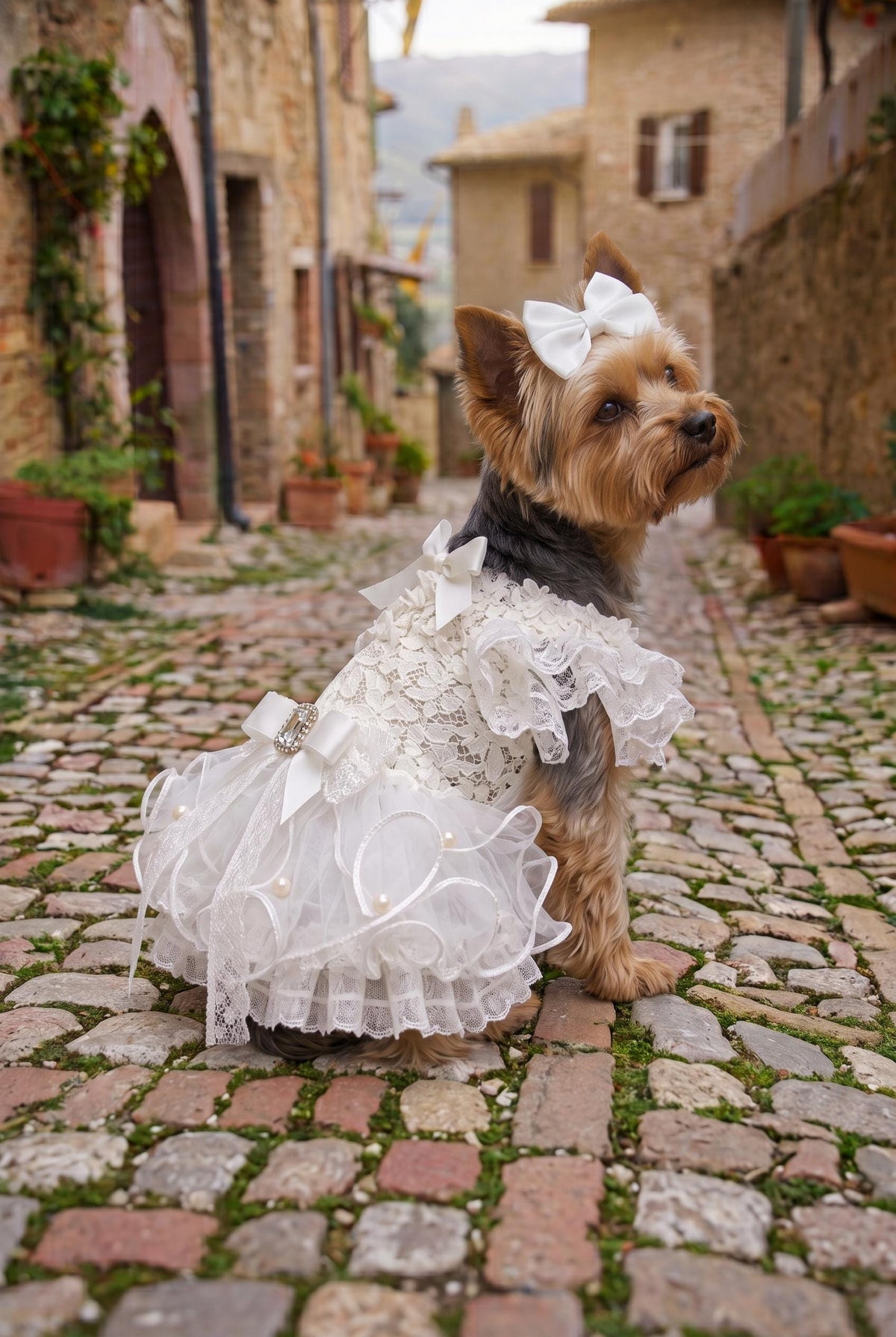 Robe de mariage blanche en dentelle à volants pour chien — photo du produit 2 sur 7
