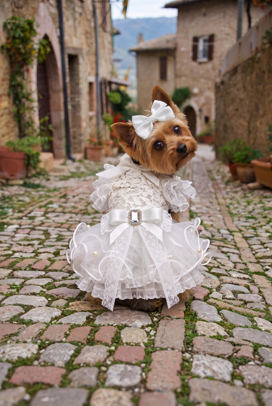 Vestido de boda blanco de encaje con volantes para perro — imagen del producto 1 de 7
