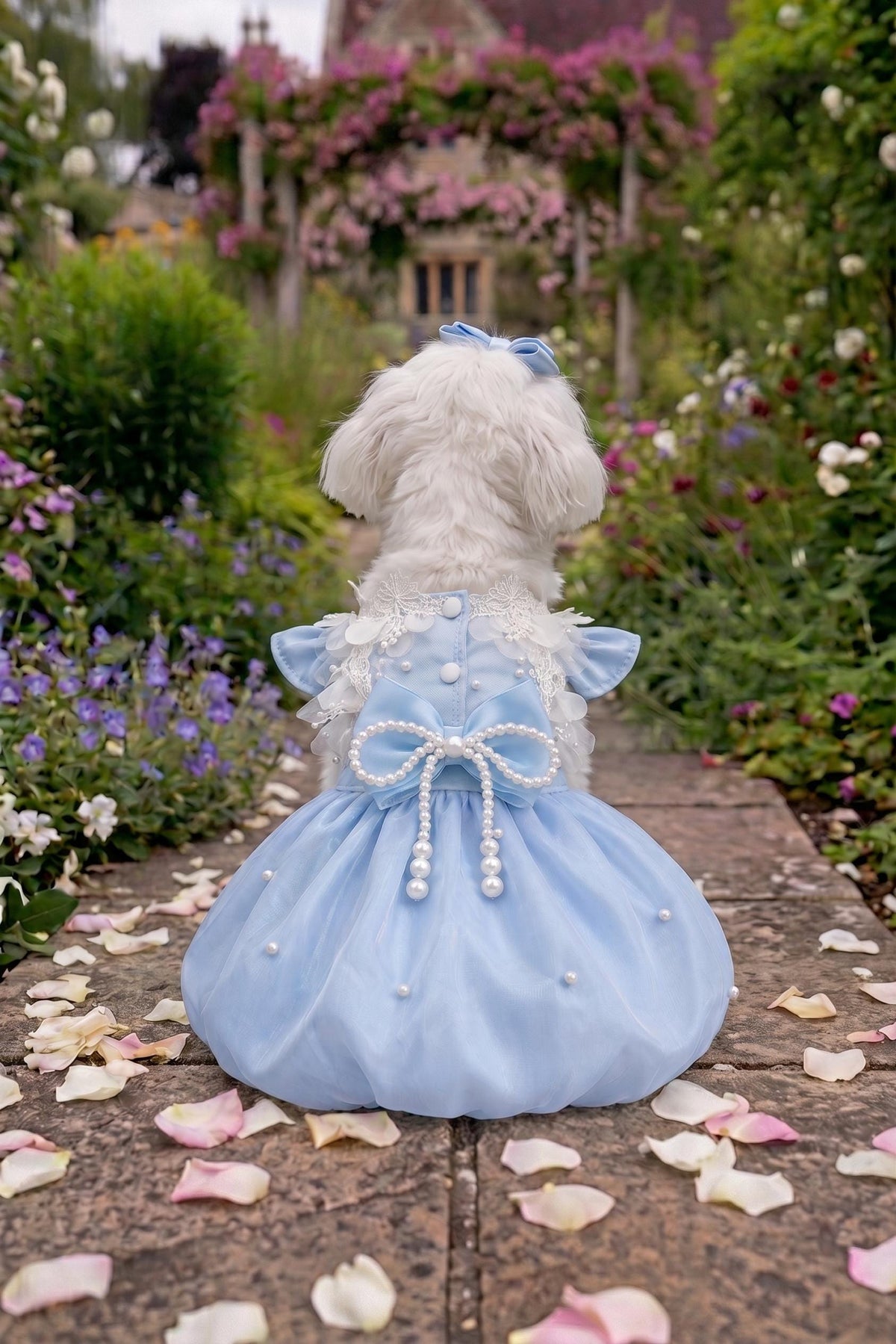 Baby Blue Pearl Bubble Dog Party Dress with Optional Hair Clip — product image 3 of 7
