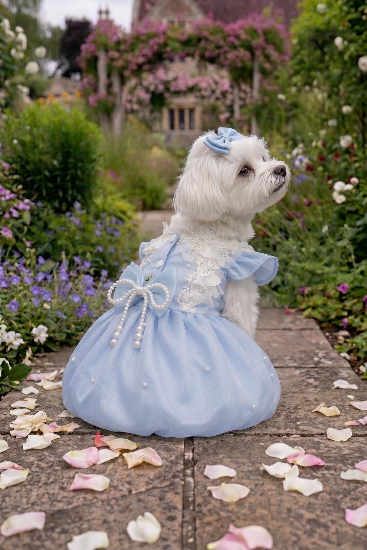 Baby Blue Pearl Bubble Dog Party Dress with Optional Hair Clip — product image 2 of 7