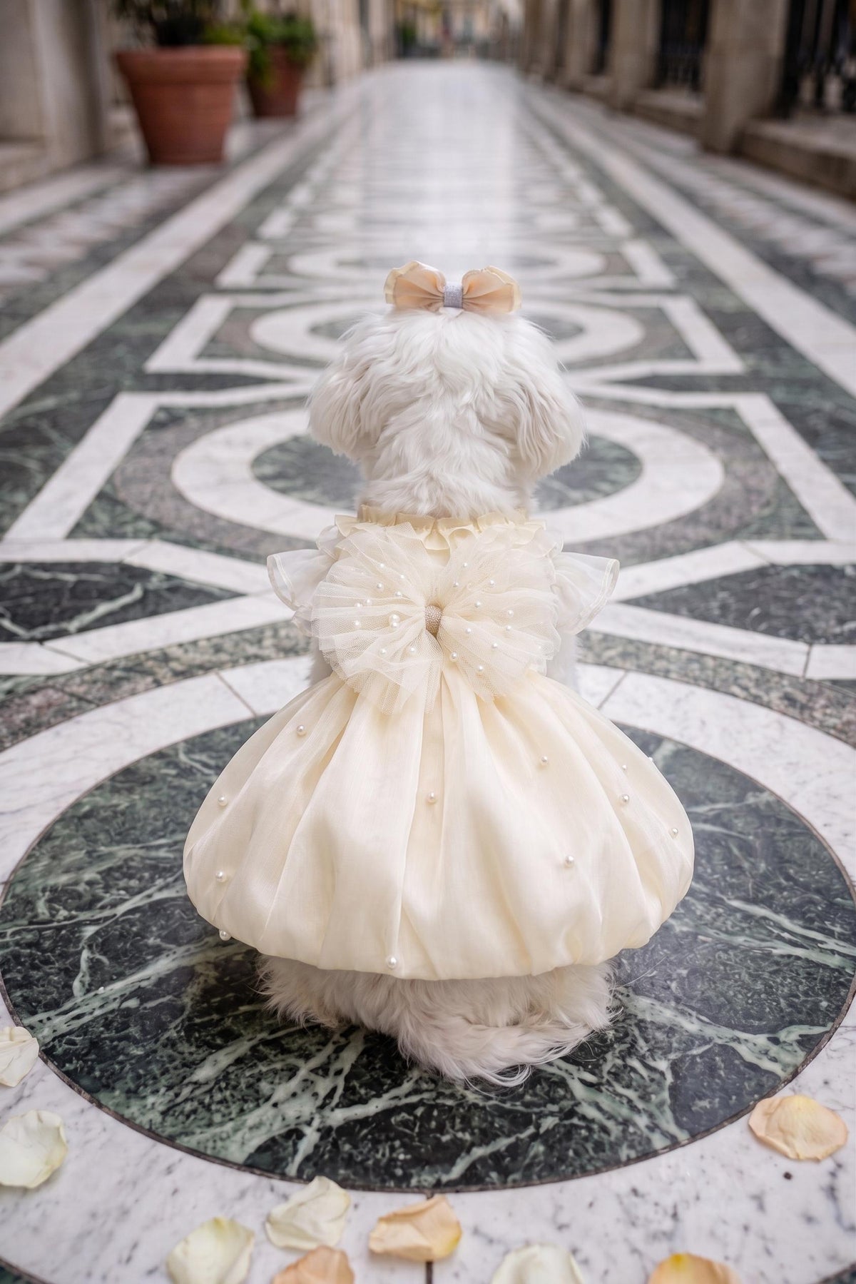 Ivory Pearl Bubble Dog Wedding Dress with Optional Hair Clip — product image 3 of 7