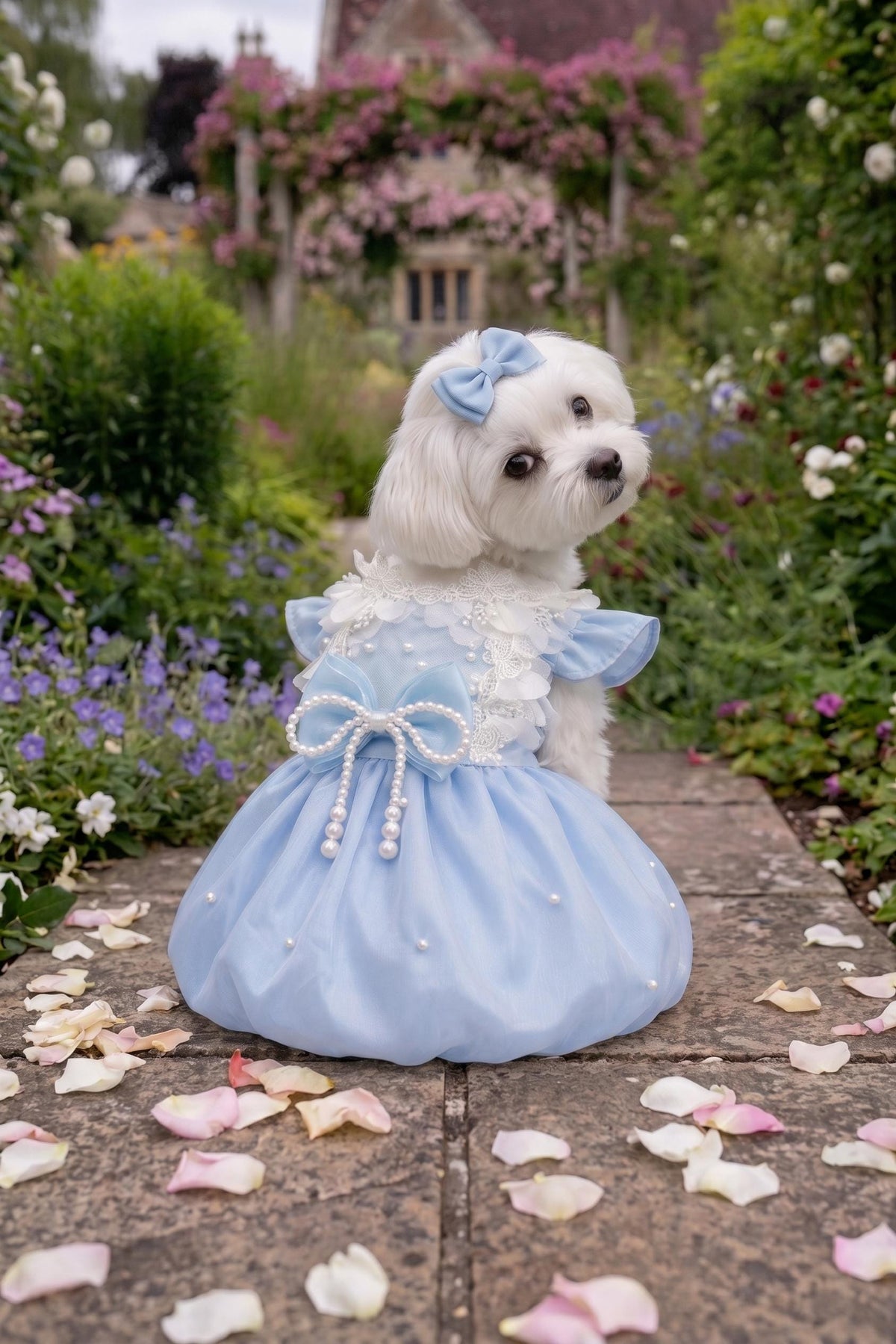 Baby Blue Pearl Bubble Dog Party Dress with Optional Hair Clip — product image 1 of 7